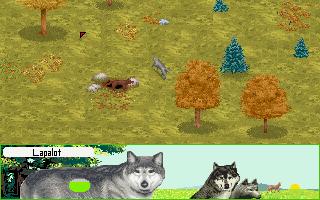 Games With Wolves