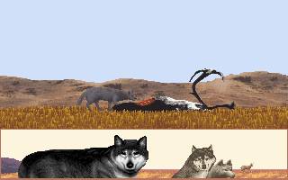 Games With Wolves