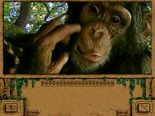 Jungle Book screenshot #4