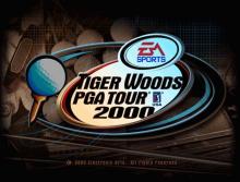 Tiger Woods PGA Tour 2000 screenshot #2