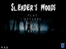 Slender's Woods screenshot #1