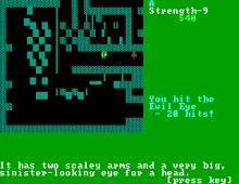 Deranged Wizard's Castle screenshot #1