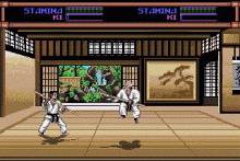 Budokan: The Martial Spirit screenshot #1