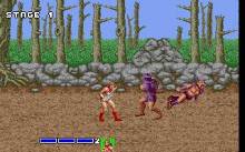 Golden Axe screenshot