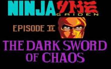 Ninja Gaiden 2: Dark Sword of Chaos screenshot #8