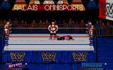 WWF: European Rampage Tour screenshot #4