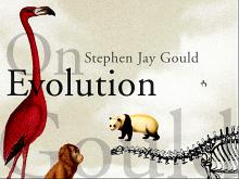 First Person: Stephen Jay Gould - on Evolution screenshot #1