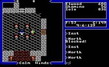 Ultima 5: Warriors of Destiny screenshot #6