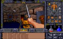 Ultima Underworld 2: Labyrinth of Worlds screenshot #13
