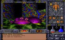 Ultima Underworld 2: Labyrinth of Worlds screenshot #15
