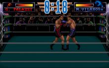 3D World Boxing screenshot #7