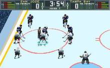 Brett Hull Hockey 95 screenshot #2