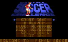 Final Soccer Challenge screenshot #2