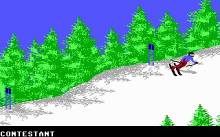 Games: Winter Edition, The screenshot #3