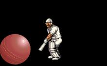 Ian Botham's Cricket screenshot #2