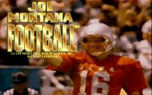 Joe Montana Football screenshot