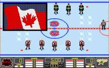 NHL Hockey '93 screenshot #2