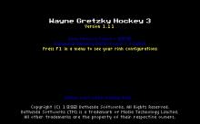Wayne Gretzky Hockey 3 screenshot #2