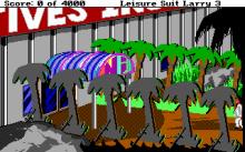 Leisure Suit Larry 3: Passionate Patti in Pursuit of the Pulsating Pectorals screenshot #6