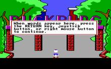Donald Duck's Playground screenshot #9