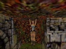 Tomb Raider 3: The Lost Artifact screenshot #13