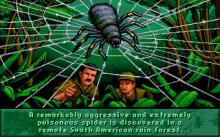 Arachnophobia screenshot #9