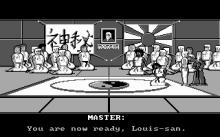 Kung Fu Louie Vs. The Martial Art Posse screenshot #1