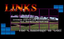 Links: The Challenge of Golf screenshot