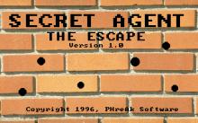 Secret Agent: The Escape screenshot #1