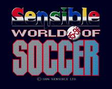 Sensible World of Soccer 95-96 screenshot #2