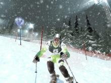 Ski Racing 2006 - Featuring Hermann Maier screenshot #19