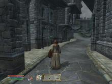 Elder Scrolls IV, The: Oblivion screenshot #9