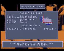 Fantasy Manager: The Computer Game screenshot #4