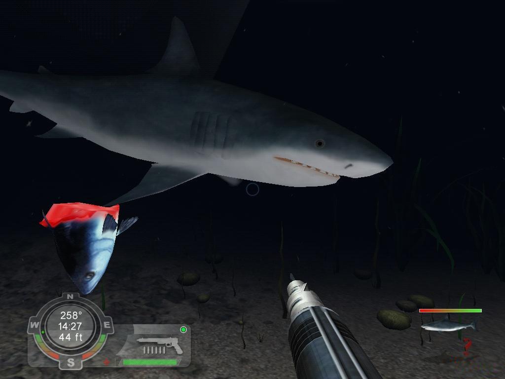 Cheapest Shark! Hunting the Great White Key for PC