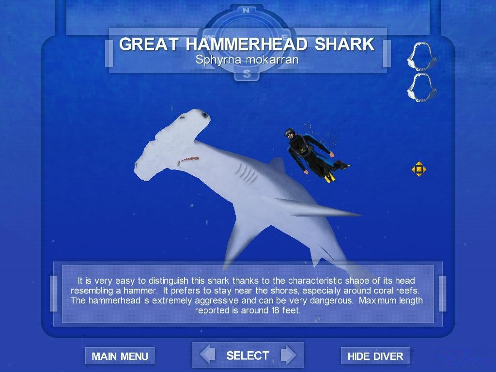 Shark! Hunting the Great White Download (2001 Sports Game)