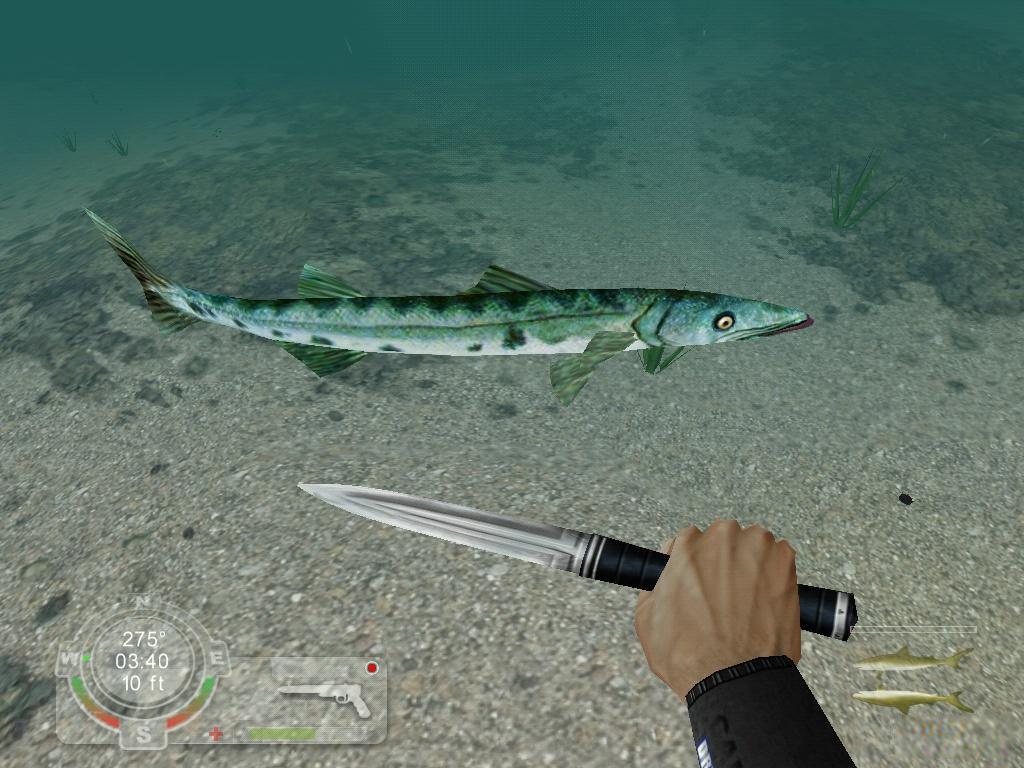 Shark! Hunting the Great White Download (2001 Sports Game)