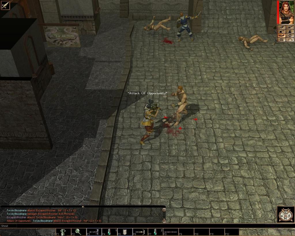 play neverwinter nights platinum windows 7