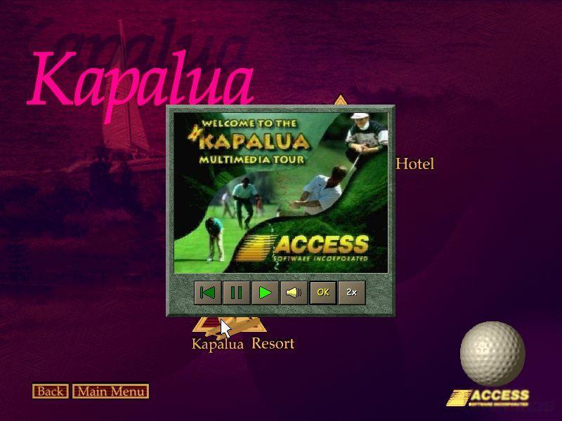 ＬＩＮＫＳ ＬＳ新品未使用品 マウイ島kapalua 1997年バージョン-