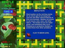 Beetle Run screenshot #3