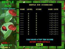 Beetle Run screenshot #5