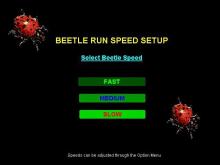 Beetle Run screenshot #6