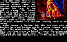 Ultima 5: Warriors of Destiny screenshot #15