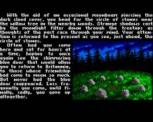 Ultima 5: Warriors of Destiny screenshot #4