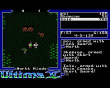 Ultima 5: Warriors of Destiny screenshot #8