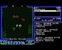 Ultima 5: Warriors of Destiny screenshot #8