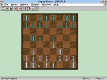 Expert Chess screenshot #8