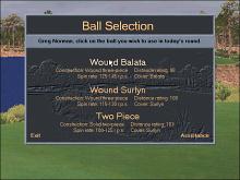 Greg Norman Ultimate Challenge Golf screenshot #5