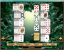 Hoyle Solitaire screenshot #16