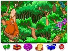 Let's Explore the Jungle screenshot #12