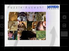 Moving Puzzle: Cats screenshot #2
